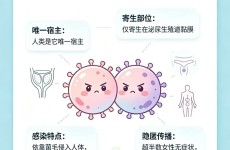 【健康科普】什么是淋球菌？