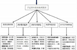中国手癣和足癣诊疗指南