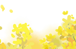 银屑病  治疗全解析