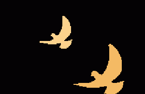 关于作息时间调整的通知