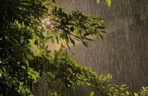 【健康科普】下雨天穿拖鞋趟水，小心这些皮肤病！
