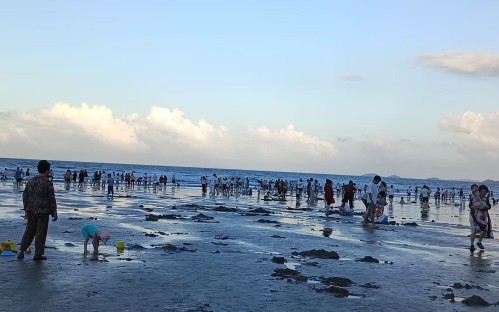 海边嬉水，遭遇“透明刺客”？海蜇蜇伤急救黄金四步法